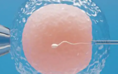 云南省昆明做第三代试管婴儿，全部费用大约需要12万元上下