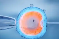 2026年没有结婚证能做试管婴儿吗？河池人民医院支不支持？