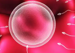 天津武警特色医院为单身做试管婴儿的成功几率大吗？