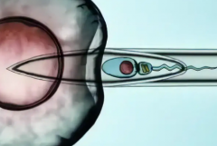 杭州哪家做试管婴儿可以包怀上的？可信度高不高？