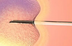 山东省第三代试管婴儿价格是多少？详细收费与流程一览