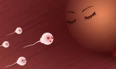 连云港市妇幼保健院单身试管成功率数据揭秘：真实案例分享