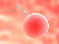 没有结婚证可以在晋中婴泰妇产医院做试管助孕生子吗？