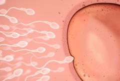 美国做三代试管助孕多少钱一览，费用清单供你参考