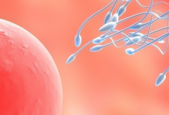 国内声称试管包一次成功的私立医院存在吗？