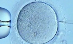 河南省商丘正规三代试管婴儿费用大概需要多少费用？