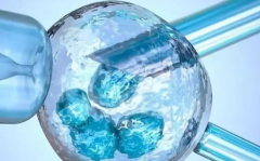 2026年未婚想做试管婴儿怎么办？宜昌仁和医院可以操作吗？