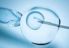 乌克兰私立医院试管婴儿包成功承诺可信吗？业内人士透露真相