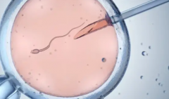 青岛妇幼试管助孕需结婚证吗？单身未婚人群申请条件详解