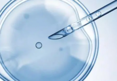 海南省海口第三代试管婴儿助孕价格曝光，含成功率与具体步骤