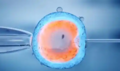 哈萨克斯坦三代试管成功率高的医院能包成功吗？就诊次数详解