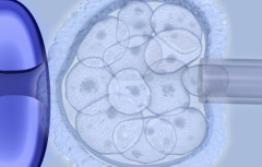 马来西亚私立医院试管包成功是真的吗？业内人士透露真相