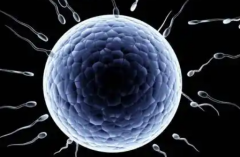 陕西西安市私立医院试管包成功宣传暗藏哪些陷阱？