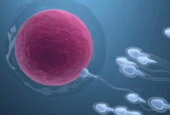 2026年无结婚证在国内做试管婴儿可行吗？桂平市人民医院能做吗？