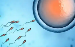 2026年未婚人士在马鞍山妇幼做试管可行吗？完整流程与花费攻略