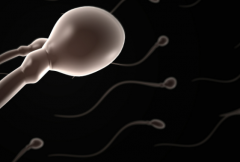 济南三代试管婴儿要花多少钱？济南三代试管婴儿全流程价格公布！