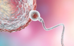 2026年未婚人士在深圳市罗湖区人民医院做试管可行吗？完整流程与花费