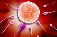 2026年乌克兰做三代试管婴儿一次成功的几率高不高？