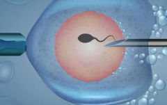 2026年辽宁省沈阳三代试管婴儿收费情况，最新价格标准发布