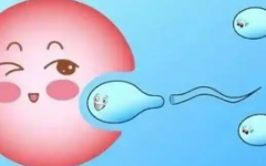 福建福州三代试管婴儿助孕费用明细表，附各项目花费详细表