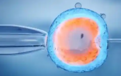 天津单身人士选择天津南开医院做试管成功率高不高？