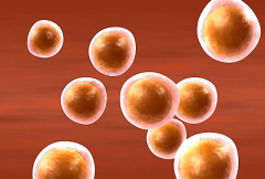 海口三代试管婴儿助孕费用明细曝光？2026新收费标准公布！