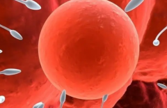 马鞍山妇幼能接受单身女性做试管助孕吗?