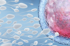 2026年单身人士想在肇庆西江医院做试管婴儿需要哪些步骤?