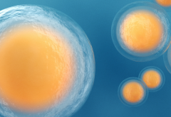 2026年单身女性在济宁附院能做试管婴儿吗？