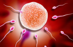 北京三代试管婴儿助孕价格分享，大致在8-15万左右