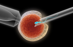 2026年杭州市三代试管婴儿费用清单曝光，收费情况全面展示！