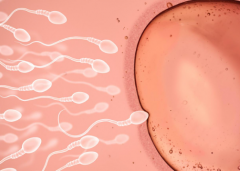 海南省海口十大正规助孕机构收费价格表2026