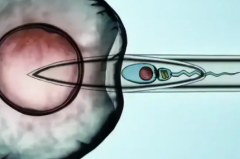 2026年武汉权威助孕机构名单公布，专业可靠助孕公司权威推荐