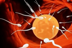 常州二院单身试管成功率数据揭秘：真实案例分享