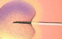 吉尔吉斯斯坦做三代试管助孕大概多少钱？附助孕费用明细表参考！