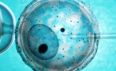 美国三代试管助孕生孩子全程花费明细曝光，真实案例告诉你总成本