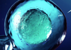 2026年没有结婚证去宜宾二医院做三代试管费用贵吗？明细是怎么样的？