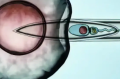 美国三代试管价格明细公开，备孕家庭别错过