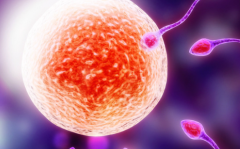 2026年单身人士在周口中心医院试管婴儿收费全览