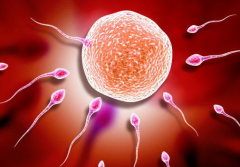 2026年单身人士能不能在武汉儿童医院做试管助孕？步骤全解析！