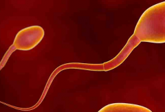 太原市第三代试管婴儿费用一览表公布！2026年9月最新数据