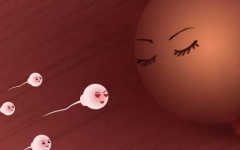 罗湖区人民医院未婚女性试管婴儿成功率怎么样？