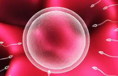 2026年无结婚证想做试管天津第一中心医院可以申请吗？