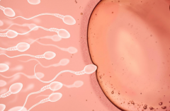 2026在西安市做第三代试管助孕费用预计需要多少钱