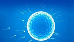 杭州市做三代试管助孕一般花费多少钱，附2026年试管移植全套费用明细